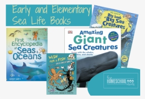 Your Students Will Love This Big List Of Sea Life Books