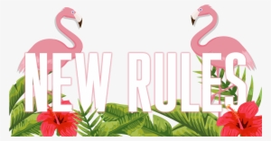 Filter[filter] New Rules - Portable Network Graphics