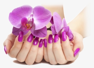 Nails Manicure Png - Nails Png
