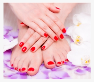 Nails Brows Lashes - Manicure Pedicure