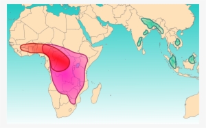 Bichiih Yee Adilohii Map - Antarctic Circle In World Map