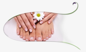 Healthy Nails