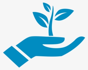 Png Grow