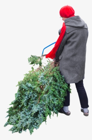 Tree Cutting People Png