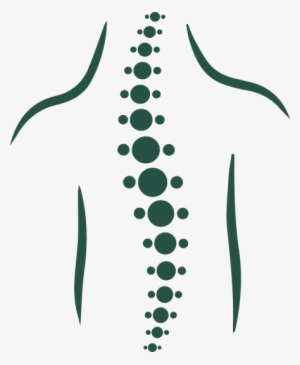 Our Spinal Cord Injury Lawyers Can Help If You've Had - Spine Clipart