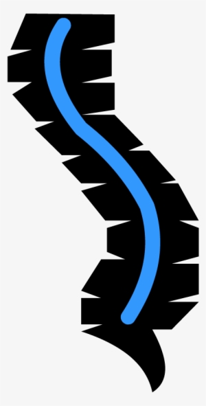 Spinal Cord - Spinal Cord Clipart Png