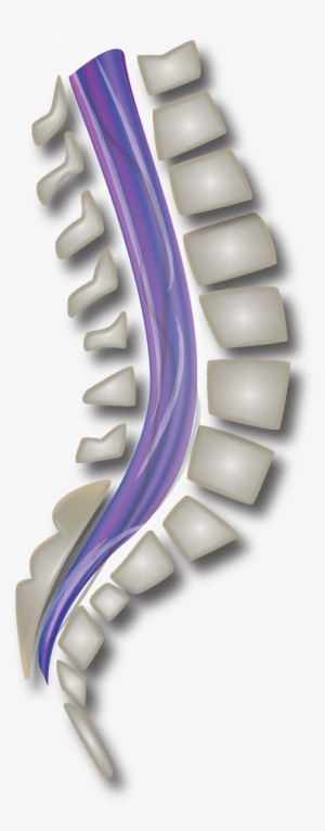 Indigo Kinetics Spine Square Icon - Facebook