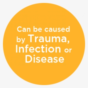 What Is A Spinal Cord Injury - Music Director