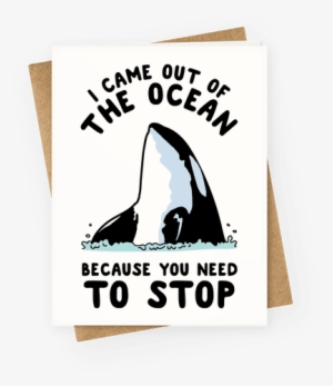 I Came Out Of The Ocean Killer Whale Greeting Card - If You Were A Cat You D