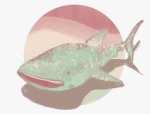 2 - Great White Shark