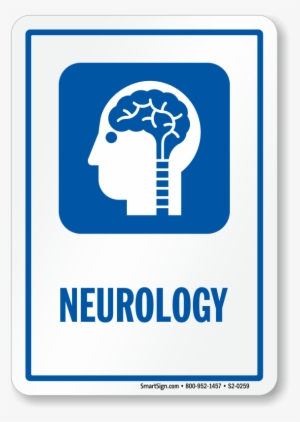Neurology Sign With Brain, Spinal Cord, Nerves Symbol - Internal Medicine