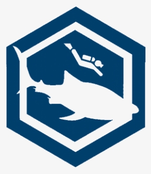 Whale Shark Ad Logo - Shine Melee