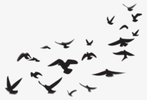 Report Abuse - Picsart Png Stickers