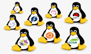 Linux Hosting Clipart Hosting Png - Linux Distributions Png
