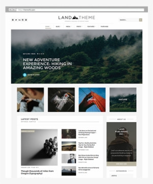 Go Tell It Rolled Canvas Art - Tammy Apple (18 X 24),