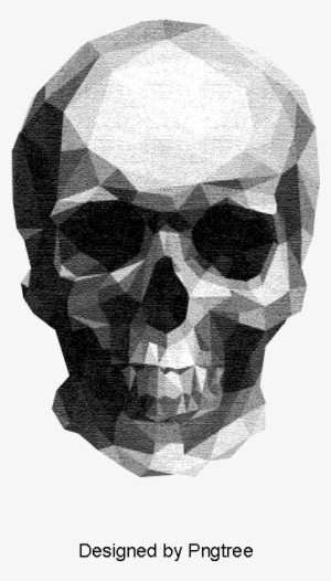 Sketch Skull, Skull Clipart, Sketch, Human Skeleton - Low Poly Illustrator