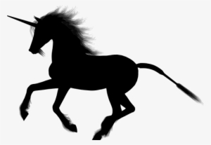 Unicorn, Fantasy, Animal, Equine, Horse - Unicornio Negro