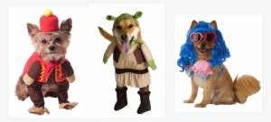 Halloween Transparent Png Pictures - Circus Monkey Dog Costume