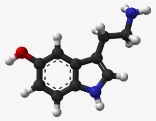 Serotonin Spartan Hf Based On Xtal 3d - Serotonin Molecule