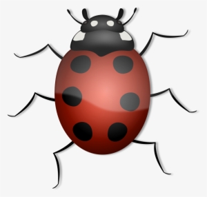 Get Notified Of Exclusive Freebies - Animals With 6 Legs Clipart