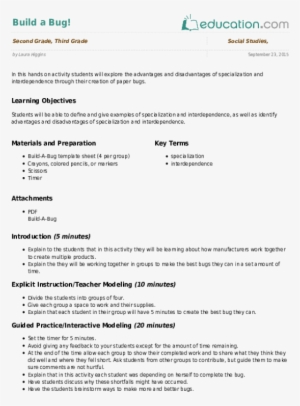Build A Bug - Lesson Plan In Social Studies