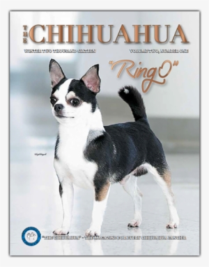 The Chihuahua - Magazine