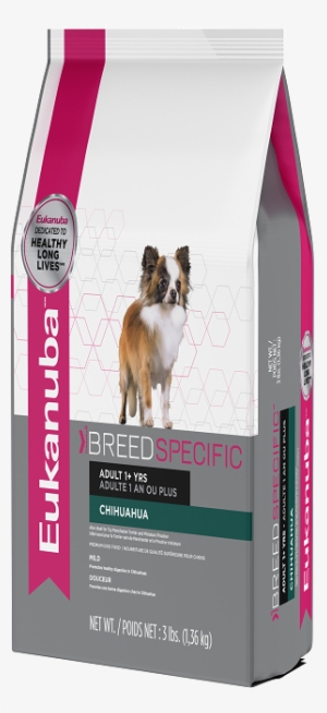 Assorted - Front2 - Right - Left - Dog