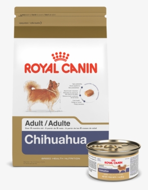 Fearless Fireball, Finicky Friend - Royal Canin Chihuahua Adult Dry Dog Food, 2.5-lb