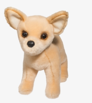 Douglas Carlos Chihuahua - Douglas Chihuahua