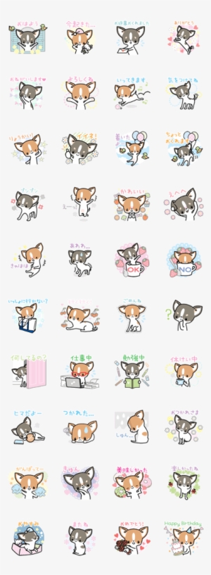 Kawaii Chihuahua - Line スタンプ 猫 耳 女