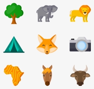 Safari