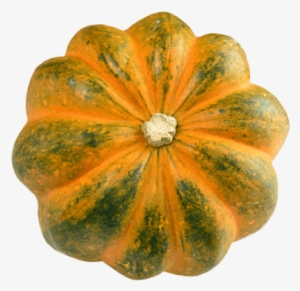 Free Png Acorn Squash Image Png Images Transparent - Squash Png