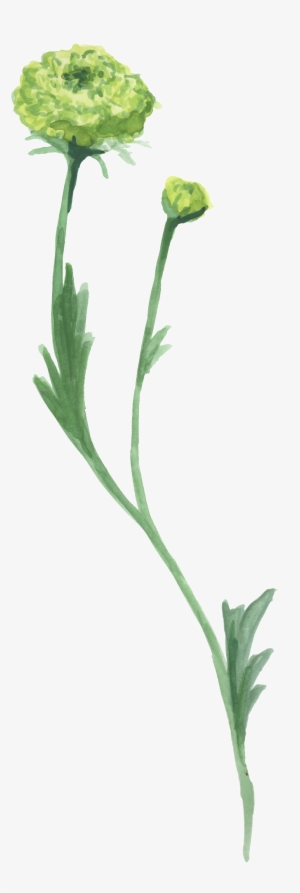 Green Fragrant Flower Transparent Decorative - Green