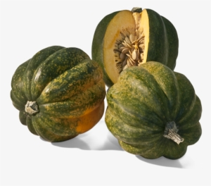 Acorn Squash Transparent Background - Squash Transparent Background