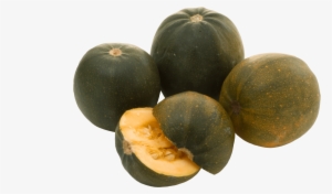 Gem-squash