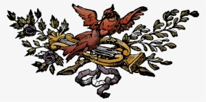 Transparent Background Bird Transparent Image - ภาพ พื้น หลัง โปร่งใส