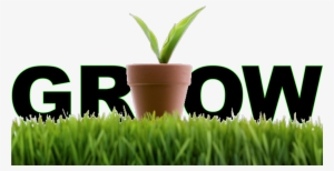 Grow Your Business Using Lead Nurturing - Metodo G.r.o.w 2017: I Segreti Dell'eccellenza E Del