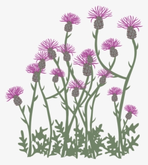 Let Your Grass Grow Long - Illustration