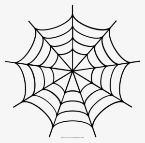 Spider Web Drawing - Desenho De Teia De Aranha Para Colorir