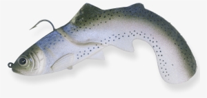 Rainbow - Rainbow Shops