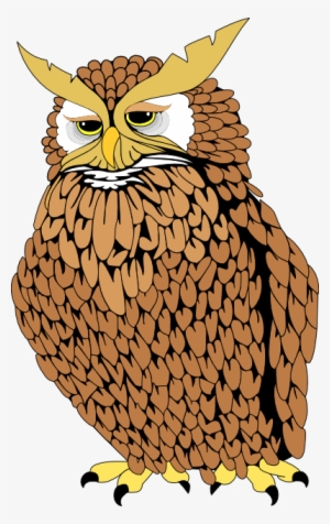 Useful - Imagenes De Un Tecolote Animados