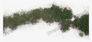 Plants Decals - Grass Decal Texture