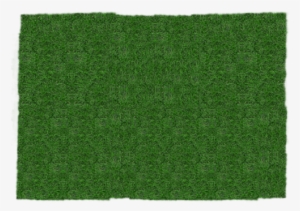 Meadow,grass,blade Of - Structure