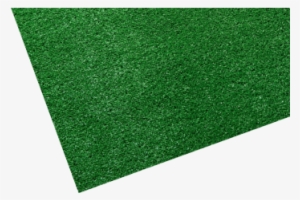 Polypropylene