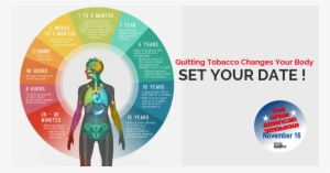 Fb Blog Image - Happens When You Quit Smoking