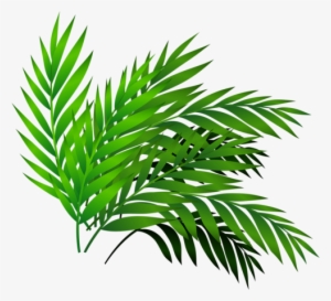 Qn3g 5tbo 141017 [преобразованный] - Vector Graphics