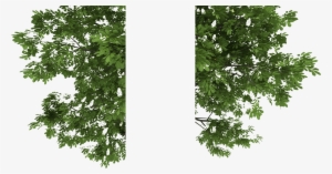 Sc 1 Th - Portable Network Graphics