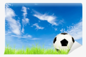 Soccer Ball On Green Grass With Blue Sky Wall Mural - Blue