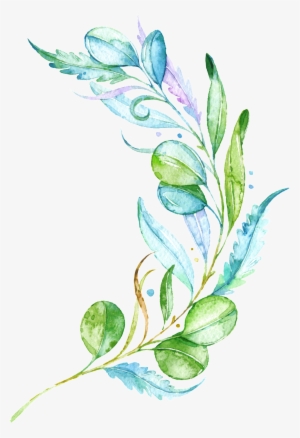 Fresh Leaves Branches Transparent