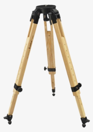 Berlebach Wood Tripod - Berlebach Tripod